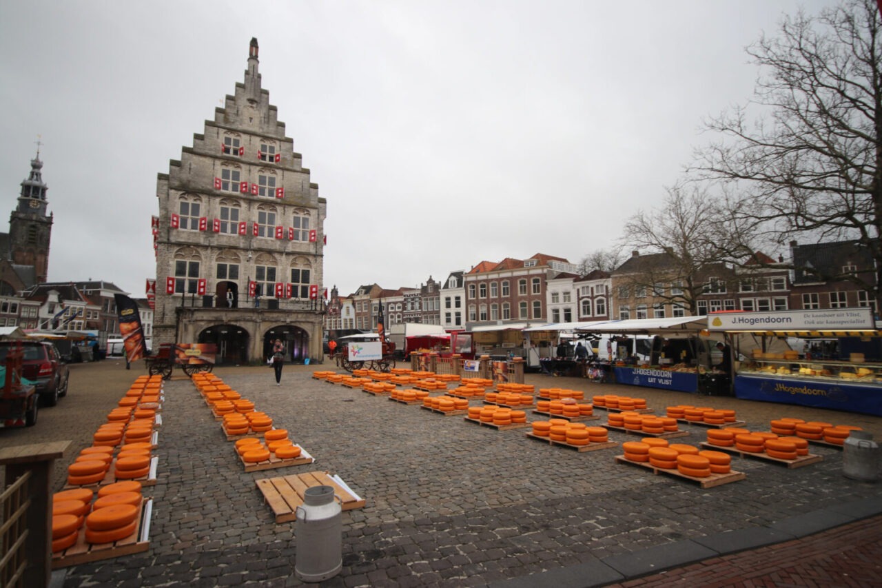 Traditionele kaasmarkt in Gouda met rijen Goudse kaaswielen op de Markt bij het historische Waaggebouw.