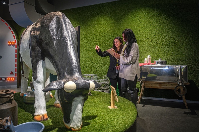 Van koe tot kaas: Zo wordt échte Gouda kaas gemaakt